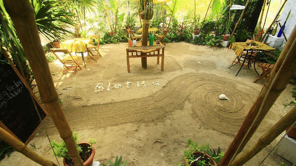 Blatha Tropical Rooms Holbox Exteriér fotografie