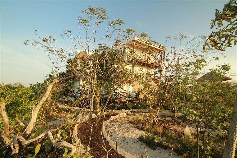 Blatha Tropical Rooms Holbox Exteriér fotografie